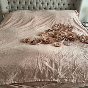 RH Teen Queen/Full Duvet with Euro Shams